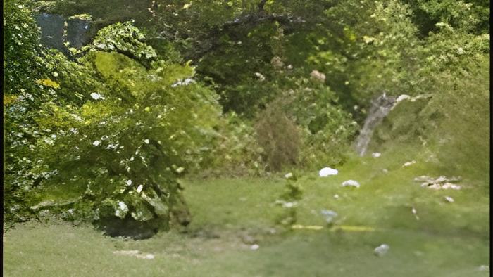 saldivarclosecall.july.4.2012.jpg
