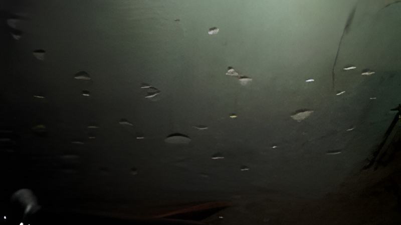 123004d.jpg