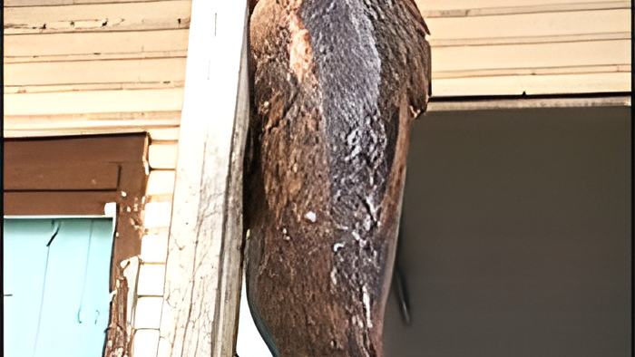 fish13.3.18.jpg