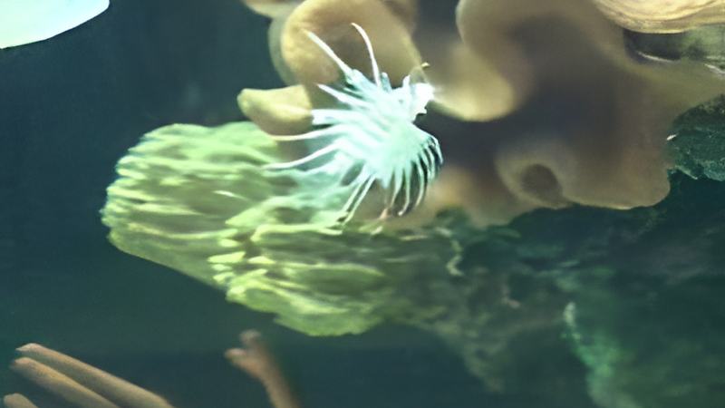 080508d.jpg