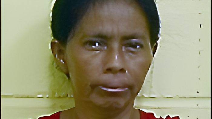 delfinas.jpg