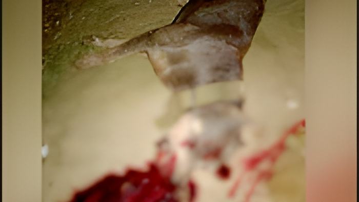 tom24.10.17a.jpg
