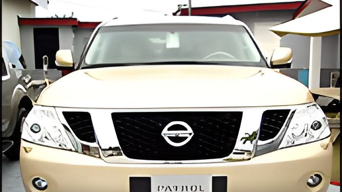 nissan30.4.12.jpg