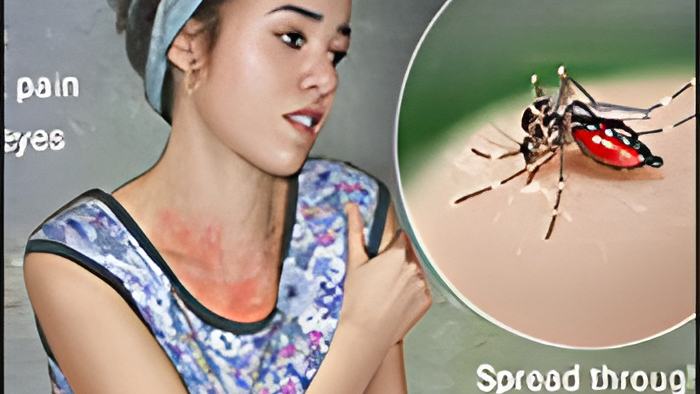 zika17.5.16.jpg