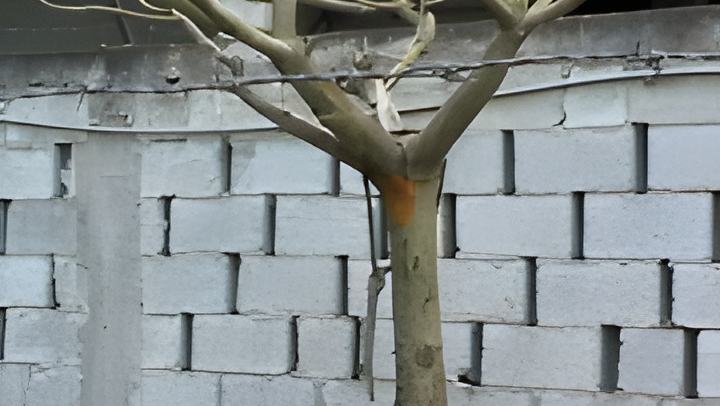 080401a.jpg