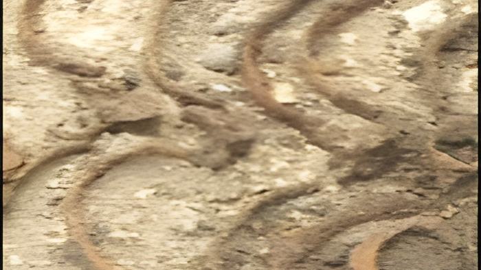 bones..november.28.2012.jpg