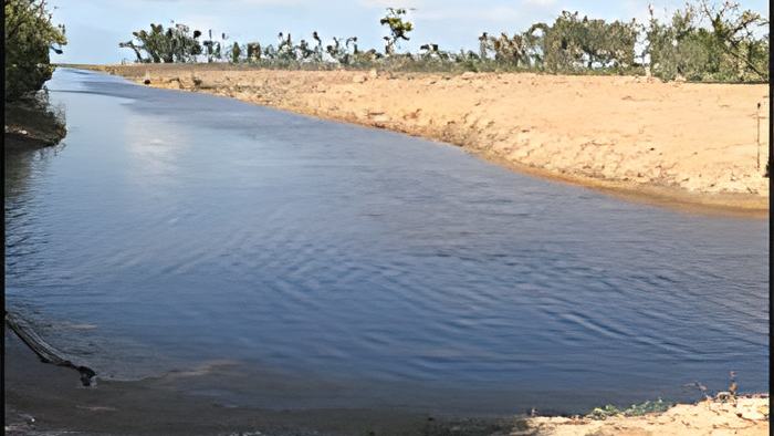 canal5.2.18.jpg