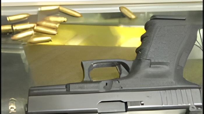 lady.gun.april.5.2013.jpg