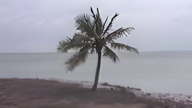 102006.jpg