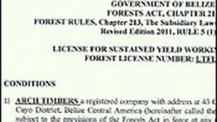 7news2.7.25b4.jpg