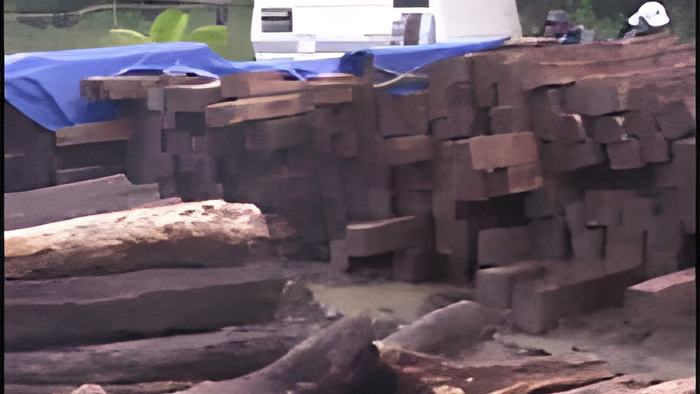 rosewood.july19.13.jpg