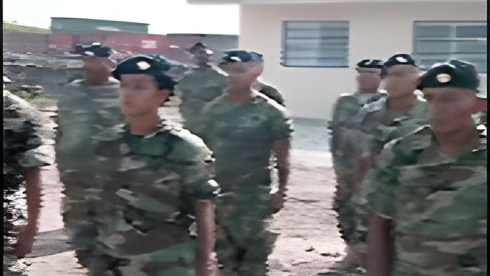 bdf4.jpg