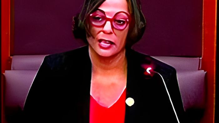 7news11.8.23a2.jpg
