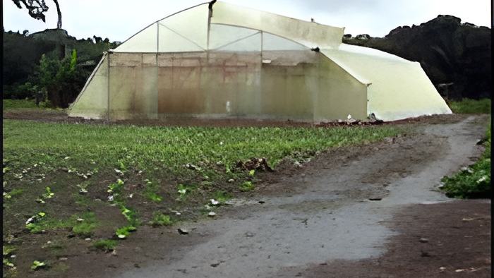 agric29.12.11a.jpg