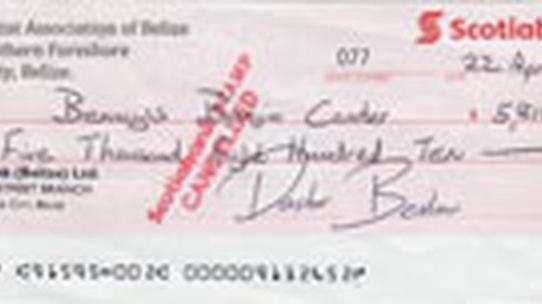 FRAUDULENTCHEQUE2.jpg