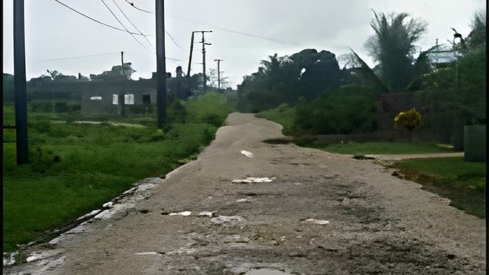 street.nov18.20.jpg