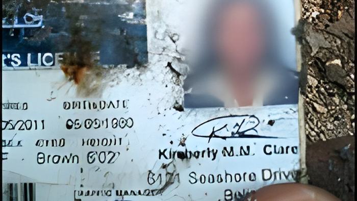license25.11.14.jpg