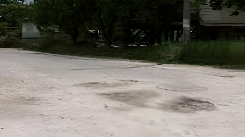 082706c.jpg