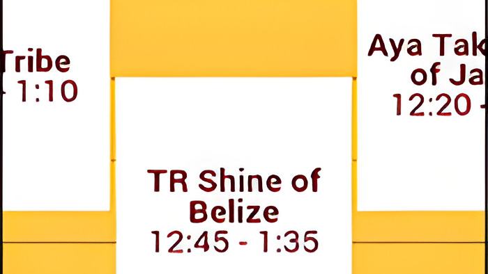 trshine12.4.16b.jpg