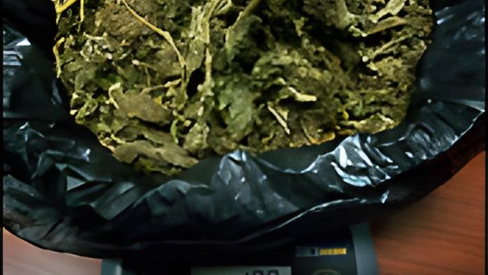 weed12.7.jpg