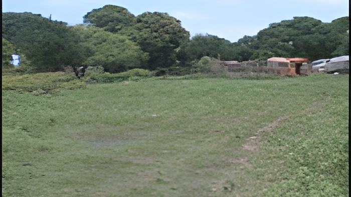 bullkilledman.8.18b.jpg