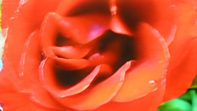 021403.jpg
