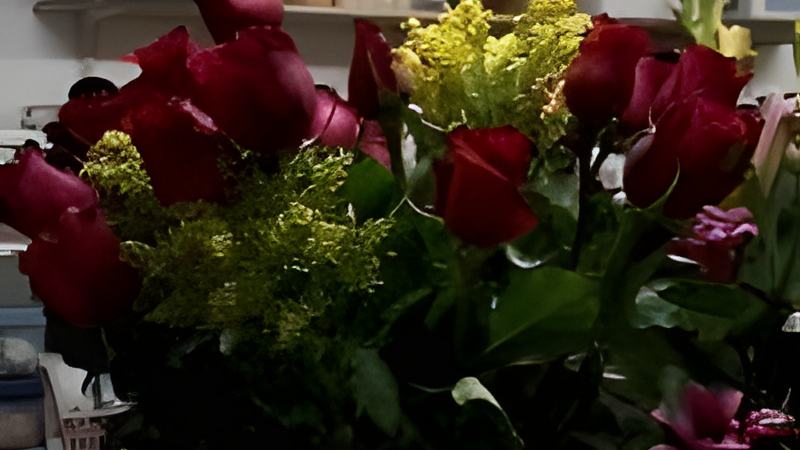 021209e.jpg