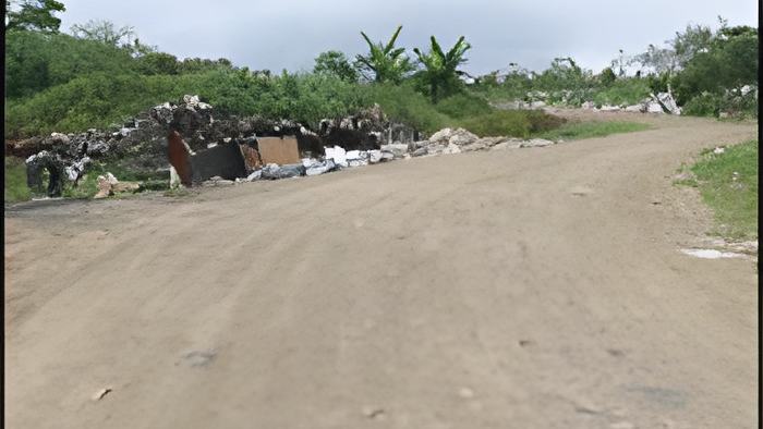 dump.mar15.2017.jpg