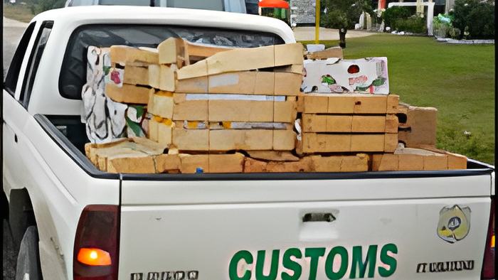 customs5.2.16.jpg