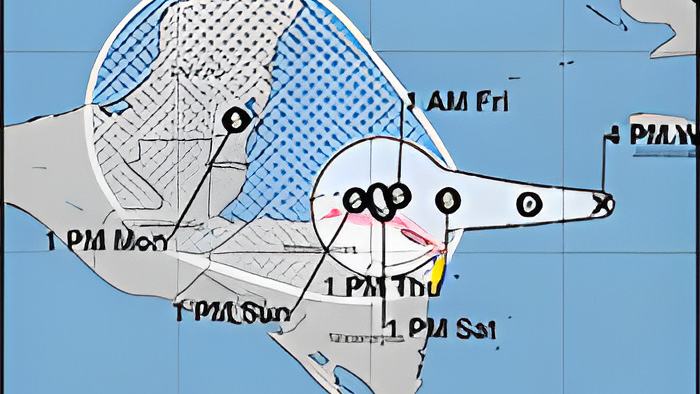 7news13.11.24.jpg