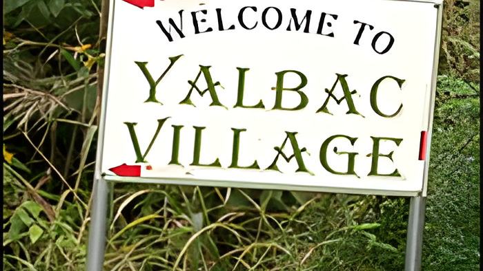 yalbak12.12.16.jpg