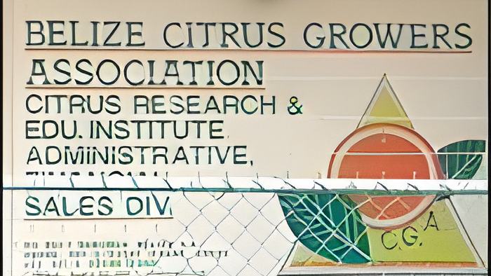 citrus28.2.jpg