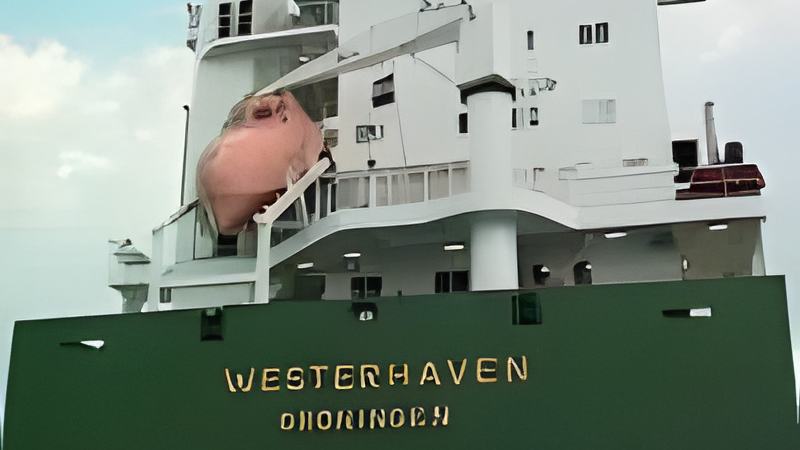 021317d.jpg