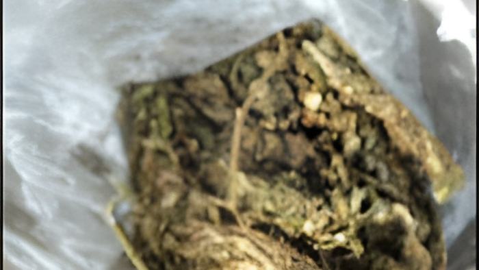 drugsoct222014.jpg