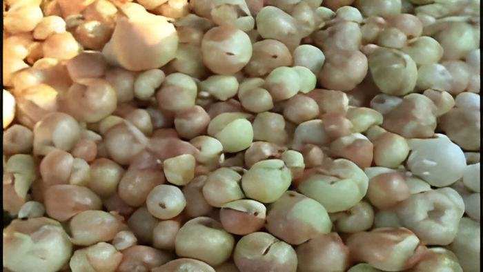 onions.19.4a.jpg