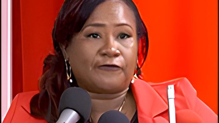 7news13.11.23b4.jpg