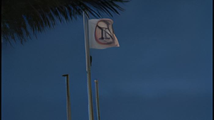 icj.flags.january.23.2012.jpg