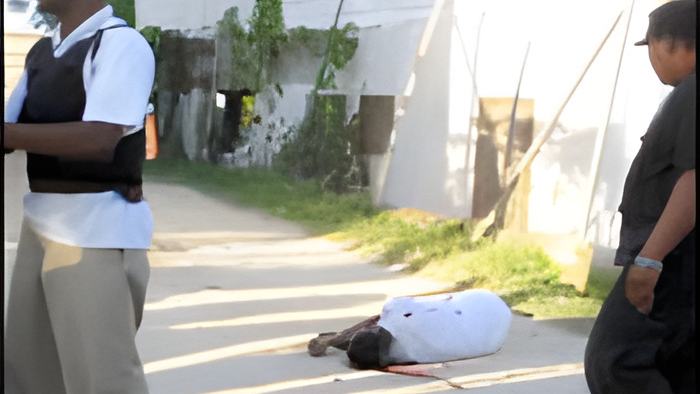 MurderCity23.3c.jpg