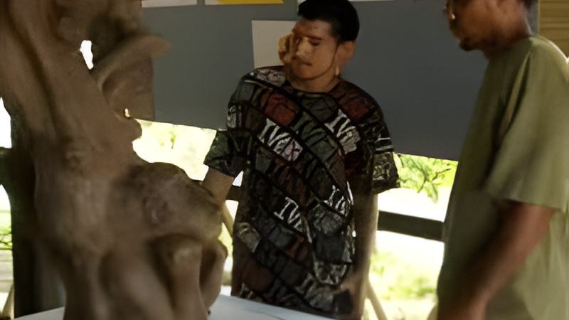 081119c.jpg