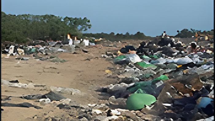 waste5.4.12.jpg