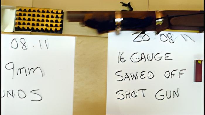 gun22.8.jpg