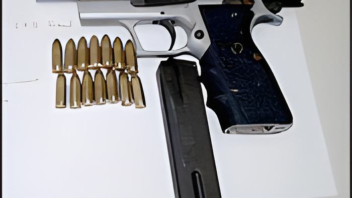 gun2.3.17.jpg