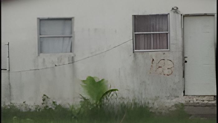 chop.aug23.13.jpg