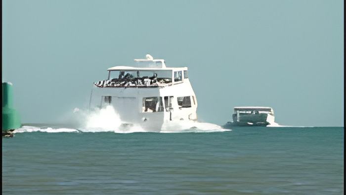 tender19.1.jpg