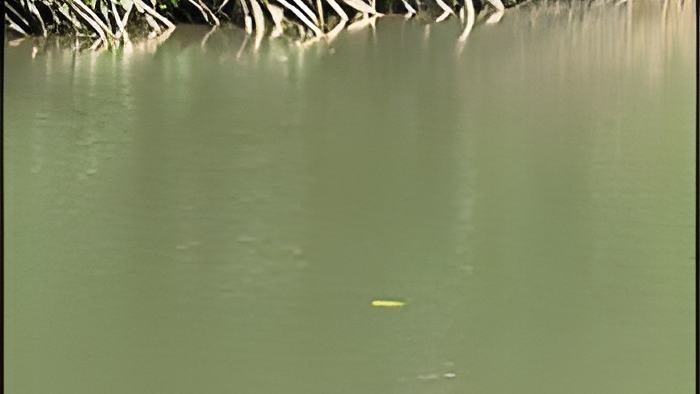 river21.2.17.jpg