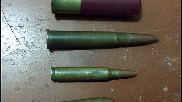 gun.jul12.2017.jpg