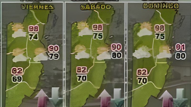 050805c.jpg