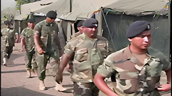 bdf6.jpg