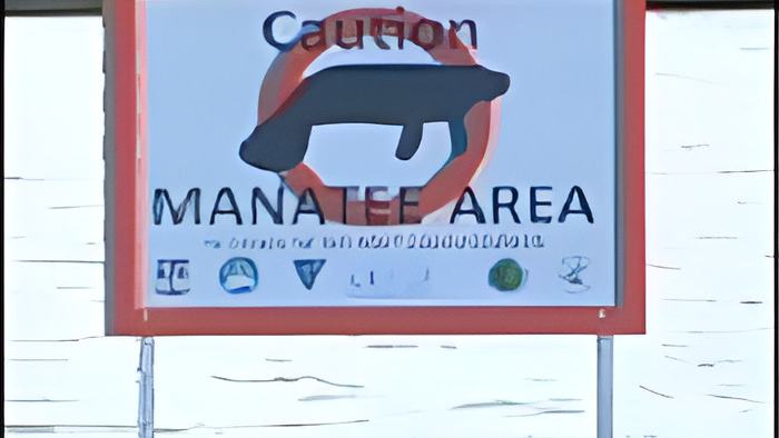 manateesigns.may.30.2012.jpg