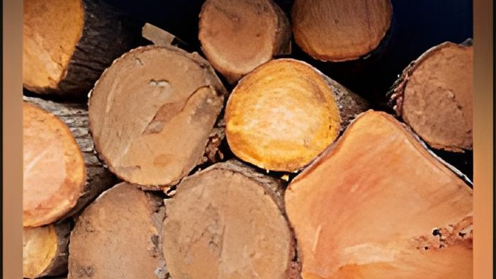 wood25.9.17.jpg
